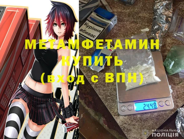 индика Богданович